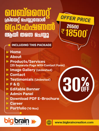 professional-web-development-icon